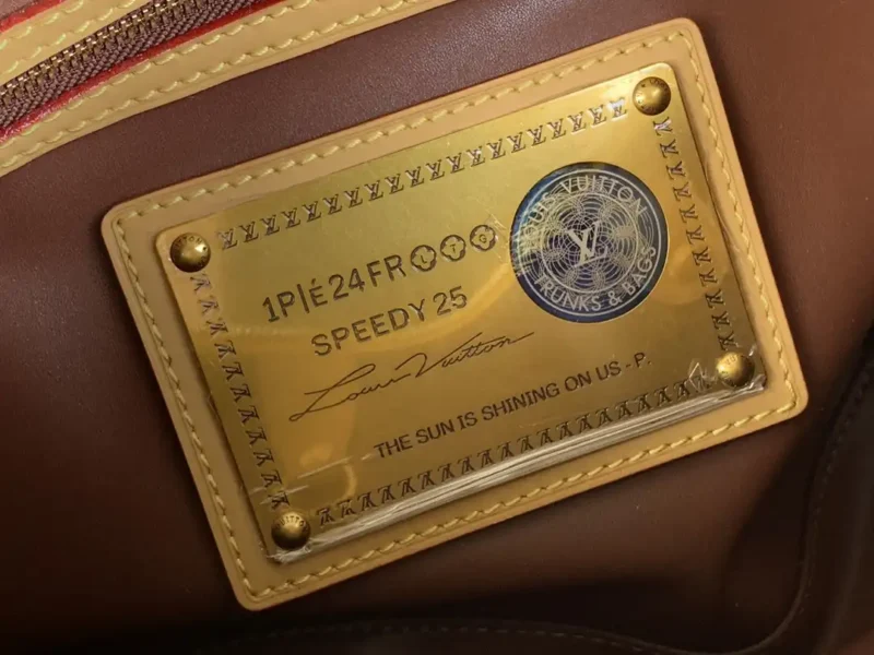 LOUIS VUITTON SPEEDY P9 BANDOULIÈRE 25 Jaune Mat