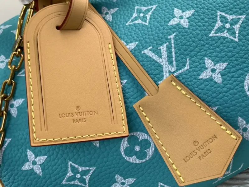 LOUIS VUITTON SPEEDY P9 BANDOULIÈRE 25 Turquoise-Master
