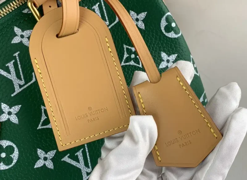 LOUIS VUITTON SPEEDY P9 BANDOULIÈRE 25 Green
