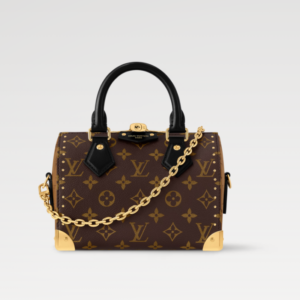 LOUIS VUITTON Speedy Trunk 20 M13146