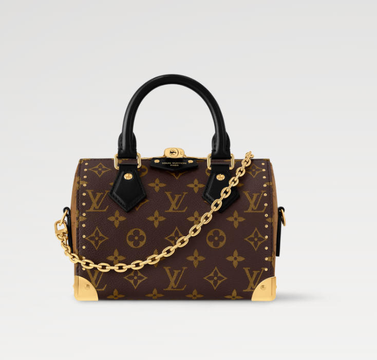 LOUIS VUITTON Speedy Trunk 20 M13146