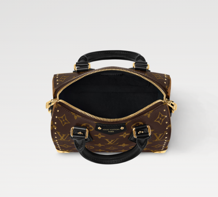 LOUIS VUITTON Speedy Trunk 20 M13146