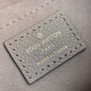 Louis Vuitton Multi Pochette Accessories-24 x 13.5 x 4CM