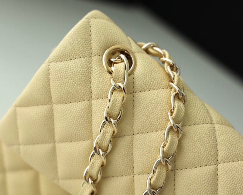 Ch@nel Flap Bag-23CM