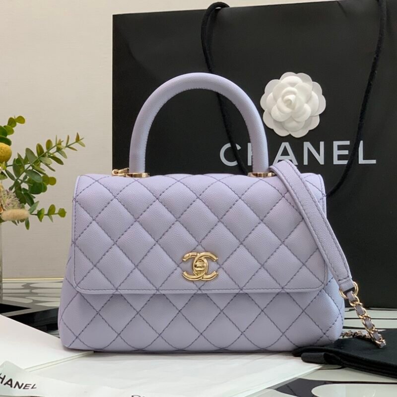 Ch@nel Coco Handlebag-23CM