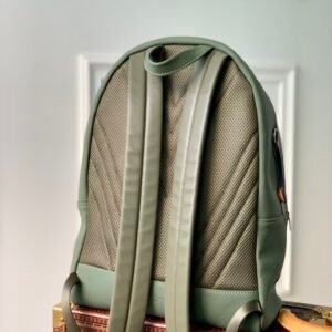 bag-15435657rewrwer_2_.jpg Louis Vuitton Aerogram Backpack M57079-43*30*14CM