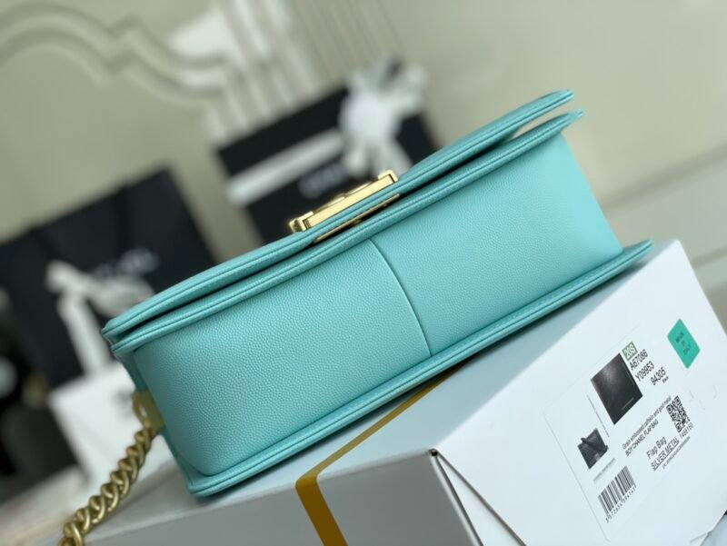 Ch@nel Boy Bag-Caviar-25CM