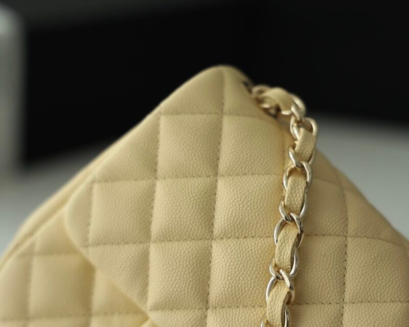 Ch@nel Flap Bag-17CM