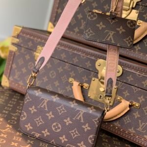 Louis Vuitton Multi Pochette Félicie Bag -17×9.6×3.5CM