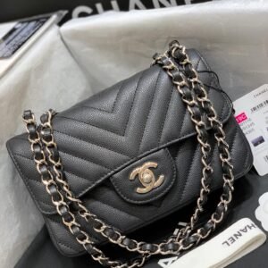 dwd-0433erwrwe_8_.jpg Ch@nel Flap Bag-Caviar-Silver Hardware-20CM
