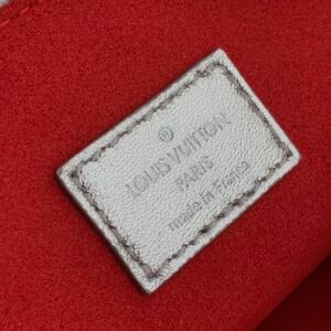 erwe-0324345rrwrweewr_3_.jpg Louis Vuitton Coussin Handbags-29.5×13.5×21CM