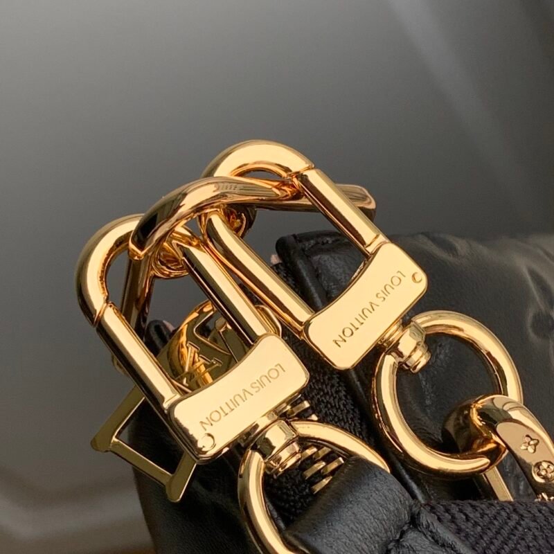 erwe-0324345rwrwreew_8_.jpg Louis Vuitton Coussin Handbags-29.5×13.5×21CM