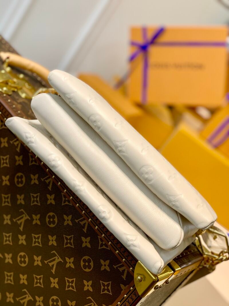erwe-86646788rewrwe_1_.jpg Louis Vuitton Coussin Handbags-26*20*12CM