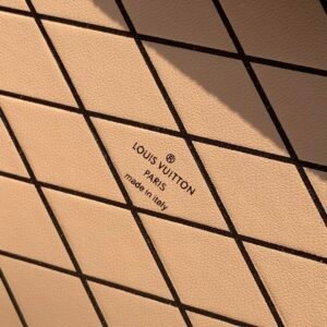 erwrwerwerteetrerty_5_.jpg Louis Vuitton Petite Malle-20*5*12.5CM