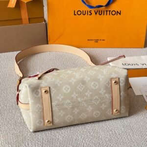 louis vuitton carryall bag size : 30 x 20cm