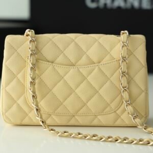 Ch@nel Flap Bag-20CM