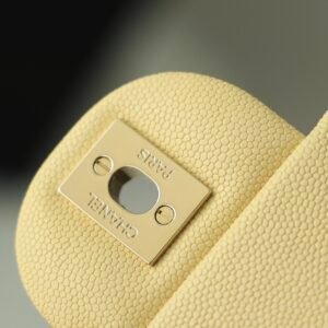 Ch@nel Flap Bag-20CM