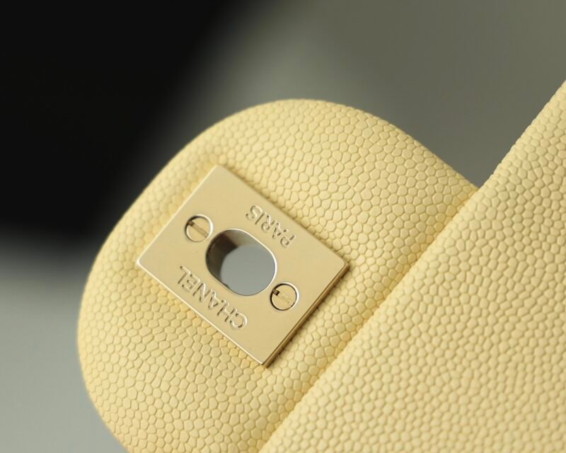 Ch@nel Flap Bag-20CM