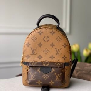 Louis Vuitton Palm Springs Mini My LV World Tour-22/15/9CM