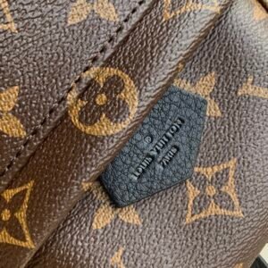 Louis Vuitton Palm Springs Mini My LV World Tour-22/15/9CM