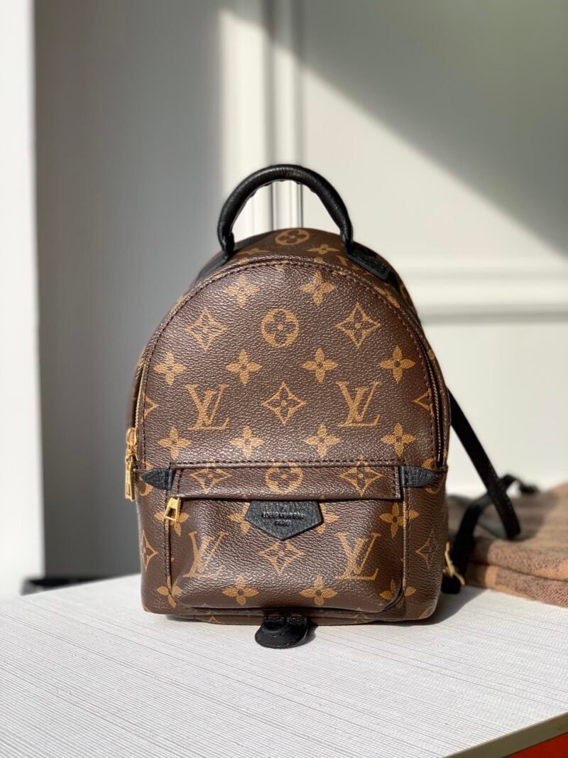Louis Vuitton Palm Springs Mini My LV World Tour-22/15/9CM