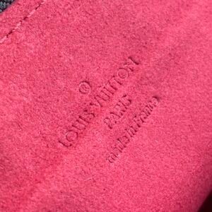 Louis Vuitton Pochette Accessories-21*13*3CM