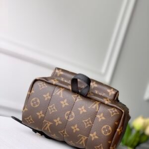 Louis Vuitton Backpack-M44871-22*19*10CM
