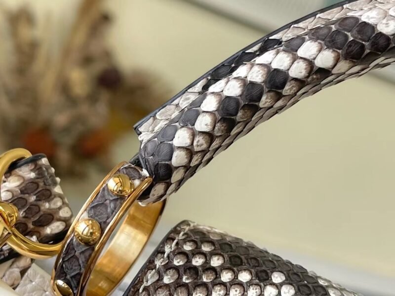 Louis Vuitton Capucines BB-M21164-27*18*9CM