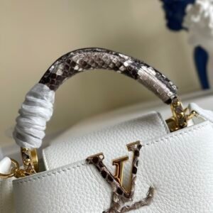 Louis Vuitton Mini Capucines Handlebag-21*14*8CM