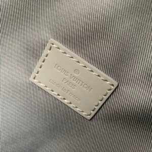 Louis Vuitton Aerogram Backpack M22503-43*30*14CM