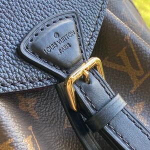 Louis Vuitton Montsouris Backpack-17*20*10.5.CM
