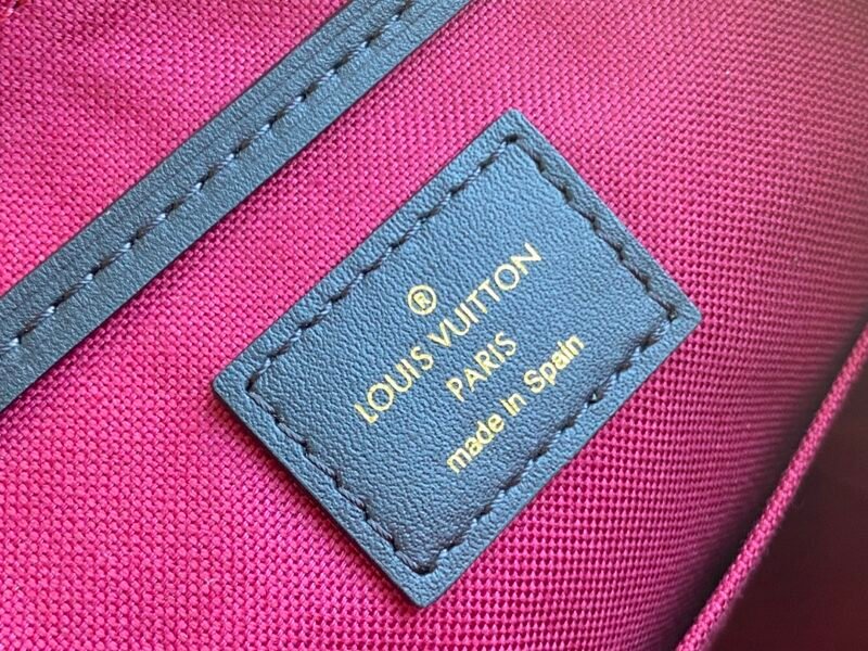 Louis Vuitton Montsouris Backpack-17*20*10.5.CM