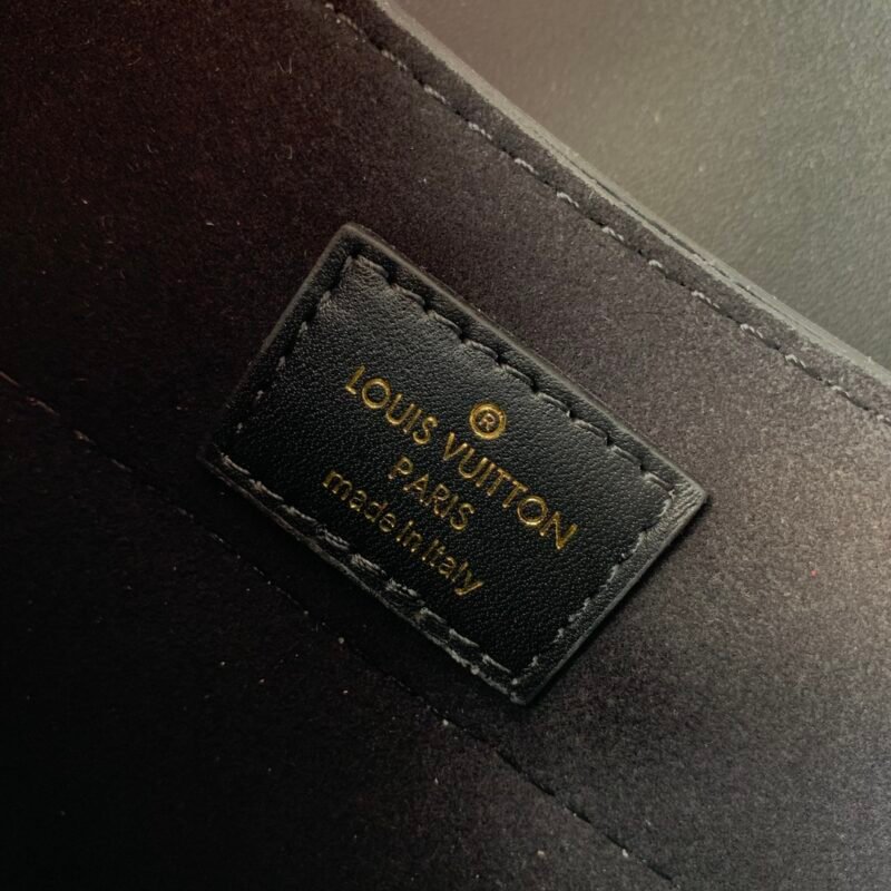 Louis Vuitton Hide & Seek Bag-21 x 15 x 8CM