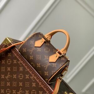 wsxc1698233264090_2.jpg Louis Vuitton Nano Speedy-16CM