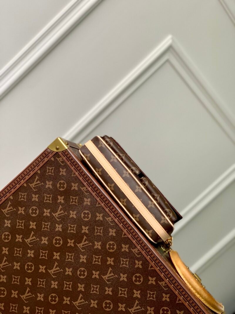 Louis Vuitton Vibe Bag -M46999-25*15*8CM