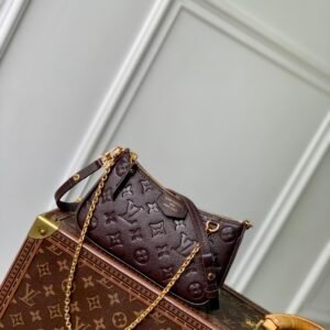 Louis Vuitton Easy Pouch On Strap-19×11.5x3CM