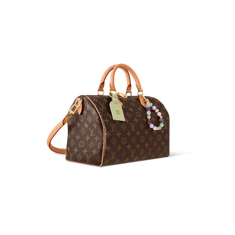 画板-28-1.jpg LouisV SPEEDY SOFT 30 LUCKY M15107 (30*21*17cm)