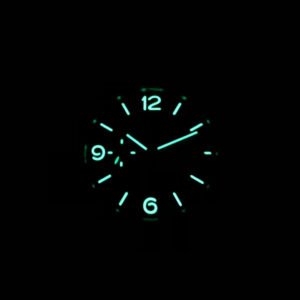 Audemars Piguet_108