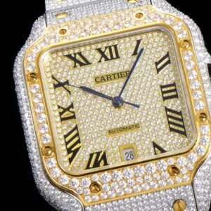 Cartier_130
