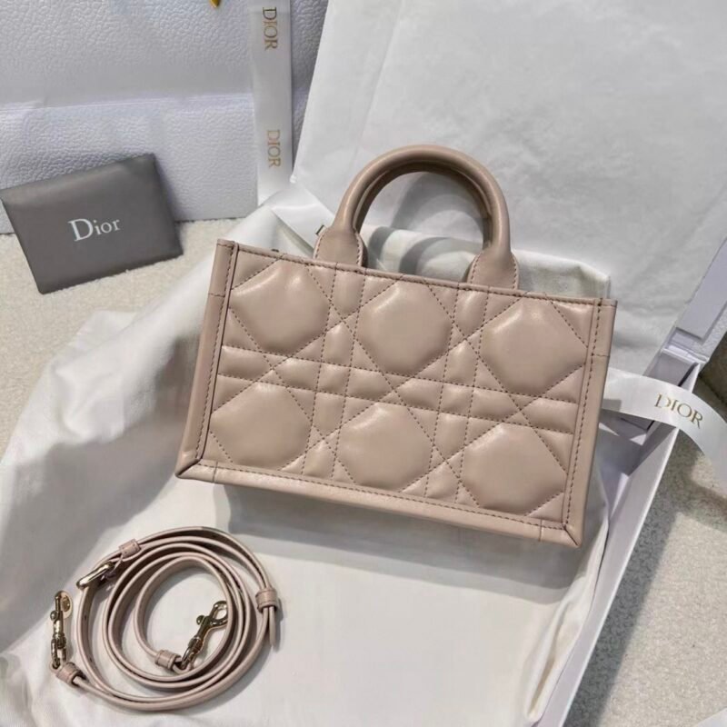 DIOR Book Tote