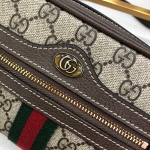 adddd-43433erwrwrwe_6_.jpg Gucci Ophidia SupremeBag-17.5x12x5.5CM