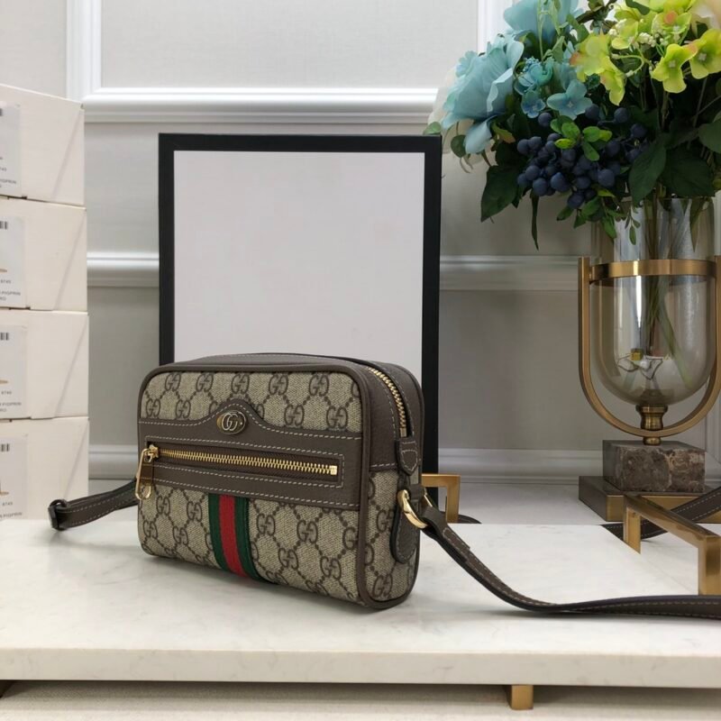 adddd-43433erwrwrwe_8_.jpg Gucci Ophidia SupremeBag-17.5x12x5.5CM