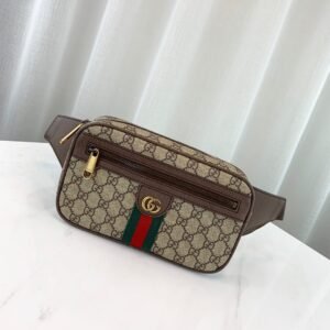 Gucci Ophidia GG Supreme Belt Bag-24*14*5CM