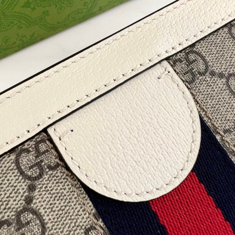 bag-2073432rwerwerw_8_.jpg Gucci Ophidia Bag-19*14*6CM