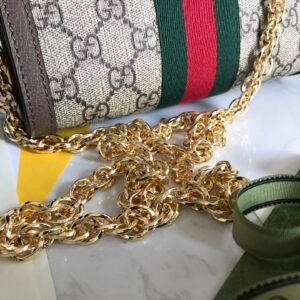 Gucci Ophidia Bag-19*14*6CM