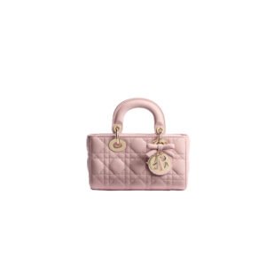 DIOR Mini Lady D-Joy Bag