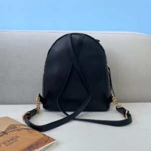 Fendi Backpack-22x10x22CM