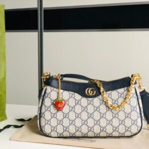 wsxc1670334637863_0.jpg Gucci Chain Bag-25*15*6CM