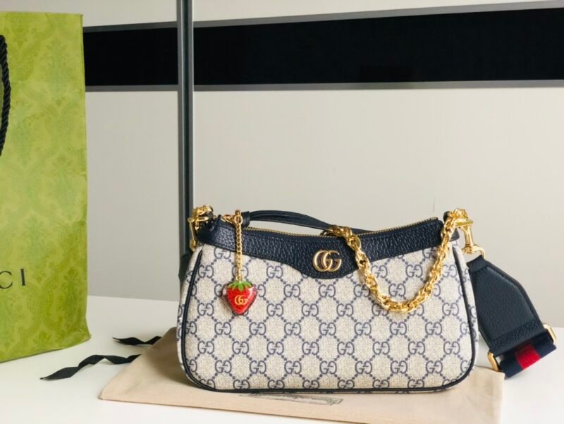 wsxc1670334637863_0.jpg Gucci Chain Bag-25*15*6CM
