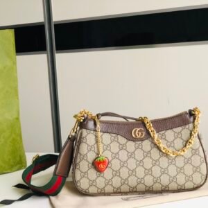wsxc1670334800797_0.jpg Gucci Chain Bag-25*15*6CM